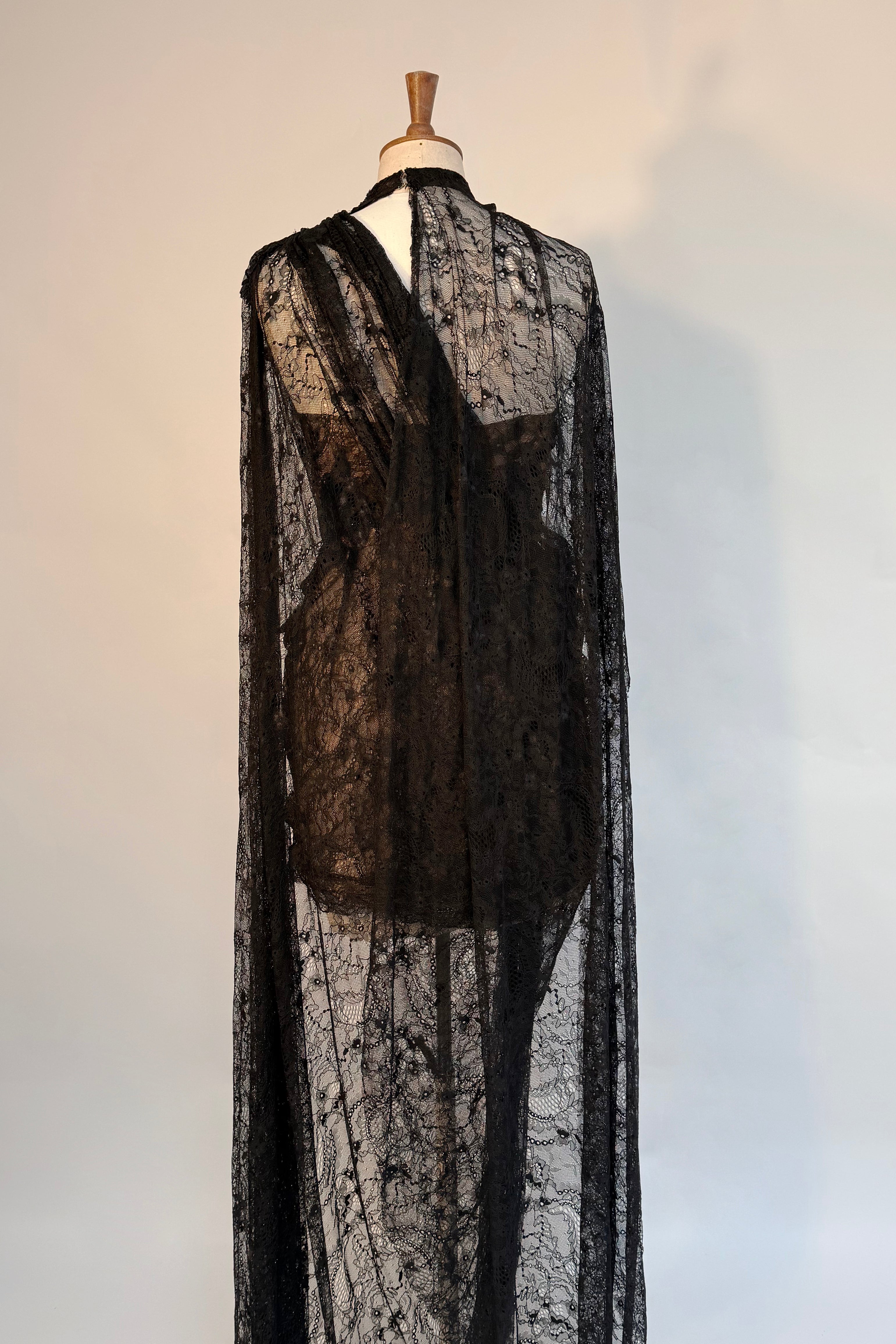 Archive Galaxy Wild Rose Lace Cape Gown