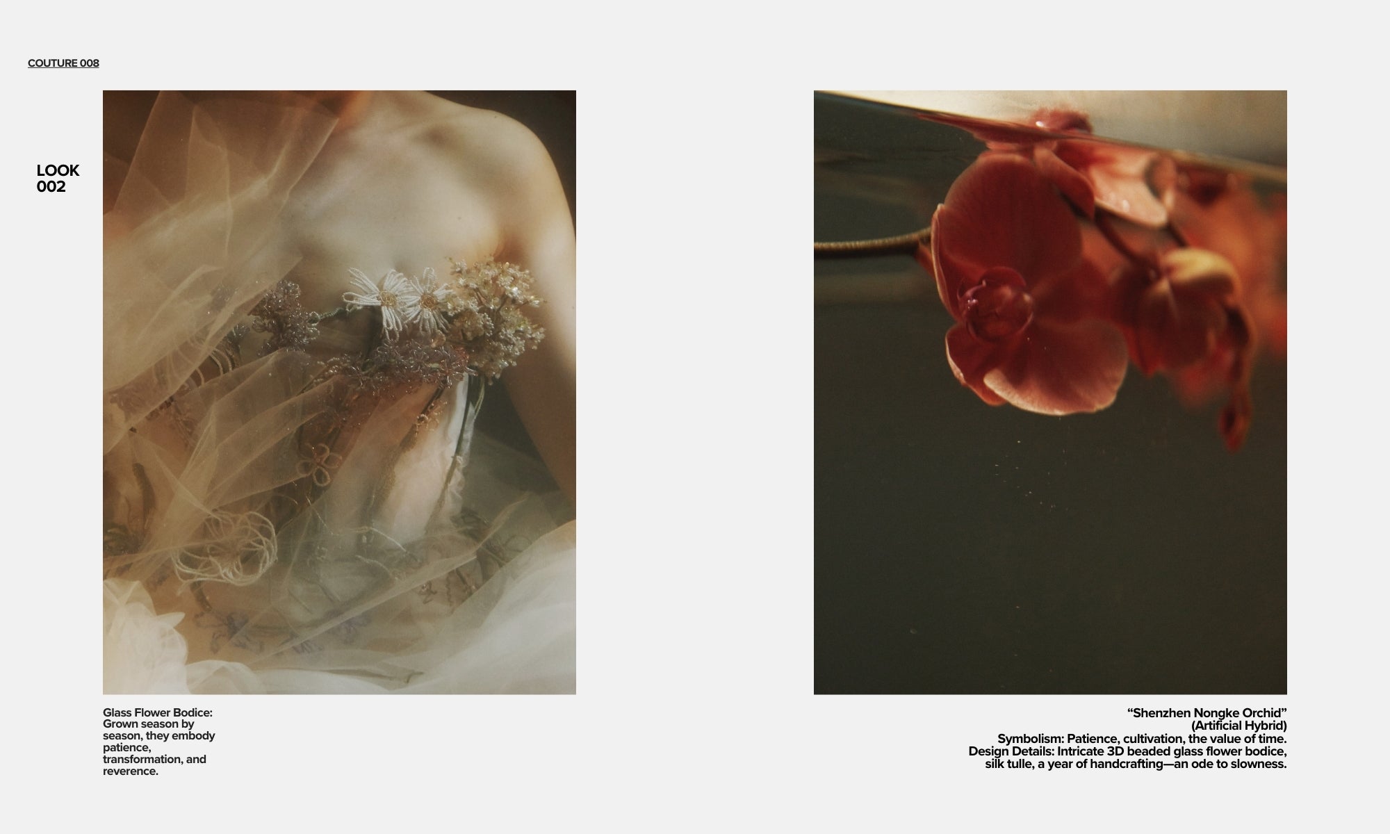 hermione-de-paula-the-orchid-bath-lookbook-2