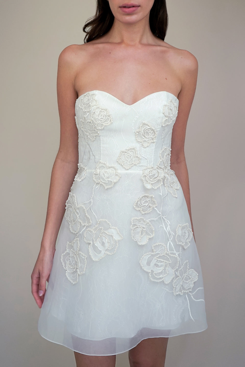 RTW Wild Rose Vine Mini Dress