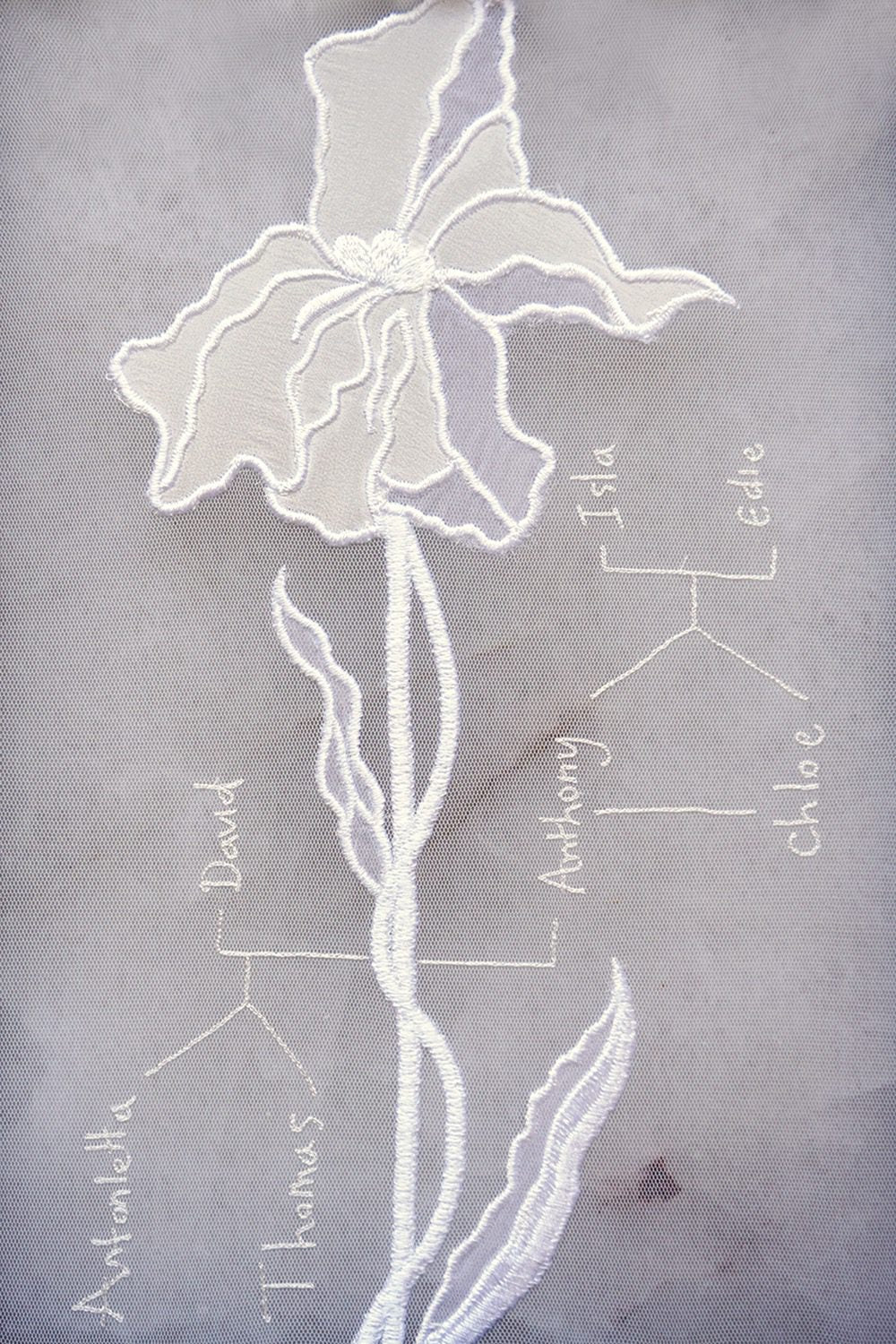 hermione-de-paula-brand-values-5