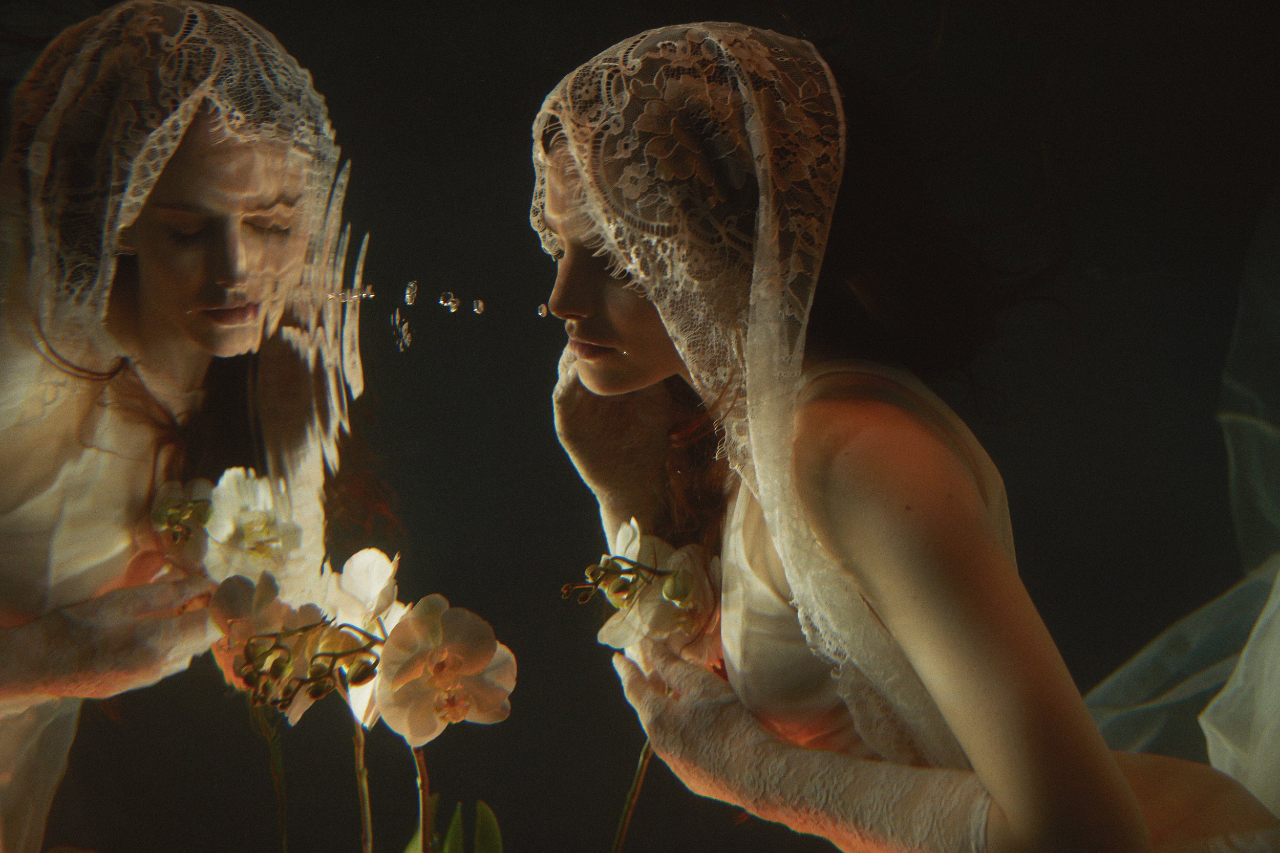 hermione-de-paula-conservation