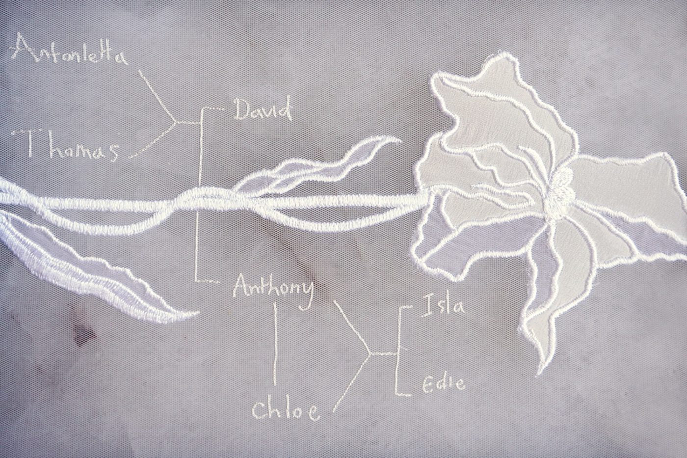 hermione-de-paula-facts-and-questions