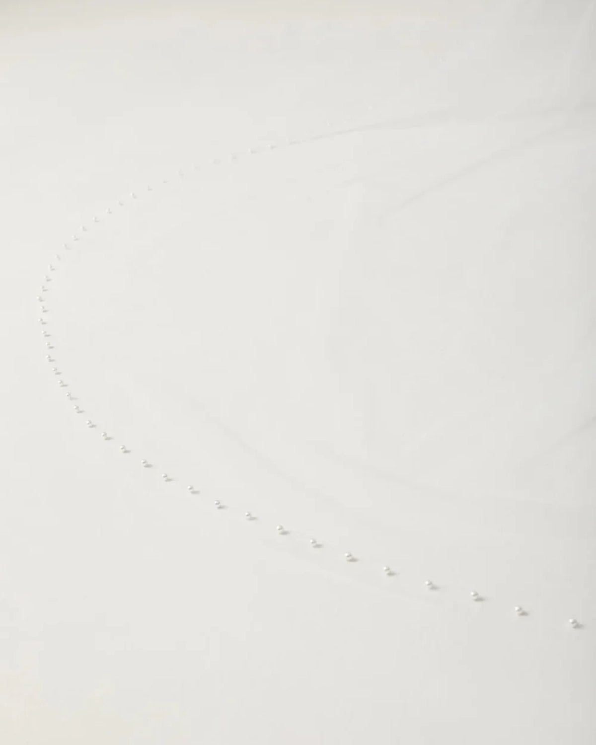 hermione-de-paula-Pearl Edge Abbey Length Veil | Floral White-botanical-couture