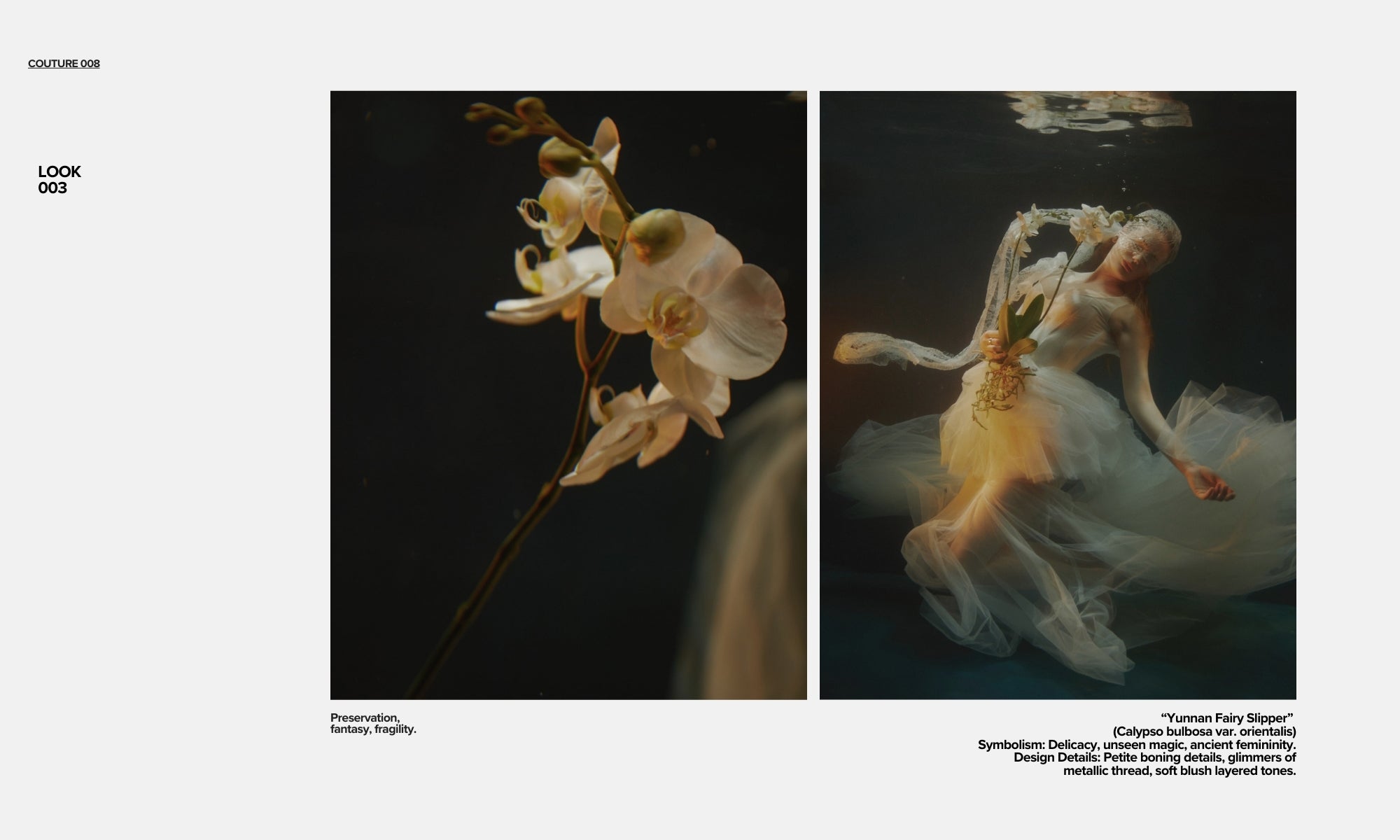 hermione-de-paula-the-orchid-bath-lookbook-3